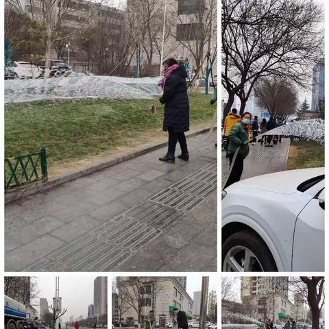 园林局“防控疫情、清洁城乡”在行动（一）