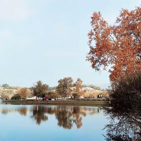 2023乌兰布统行D3：乌兰布统(一)