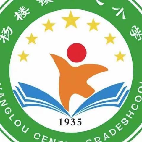 杨楼镇中心小学以案促改警示教育全体教师大会