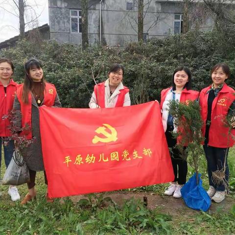 【平原幼儿园】党员先锋营造绿色环境  平幼师生共创绿色文明