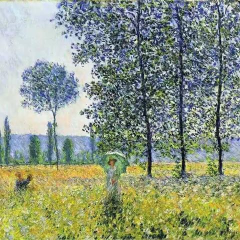 春风十里，我在贵州营地的花海等着你！