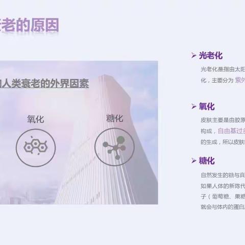 白藜芦醇面膜，神经酰胺