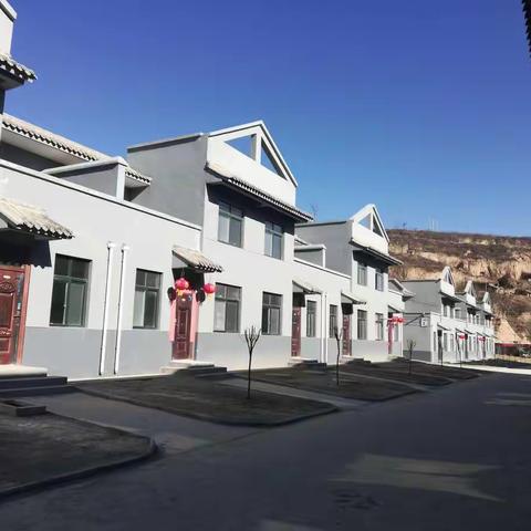 院子村1月24日工作动态