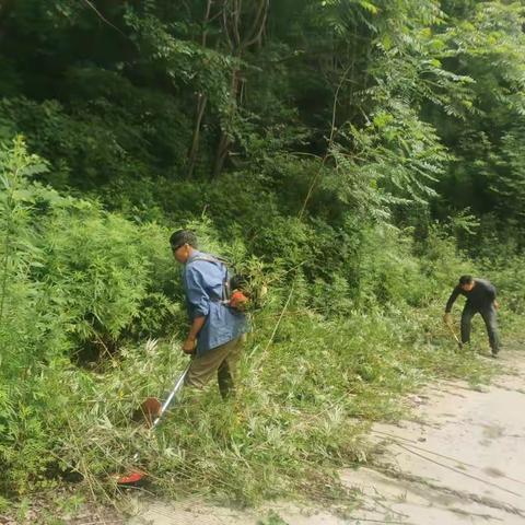 全面排查、全员行动——韩城市雷寺庄林场深入开展安全生产隐患大排查