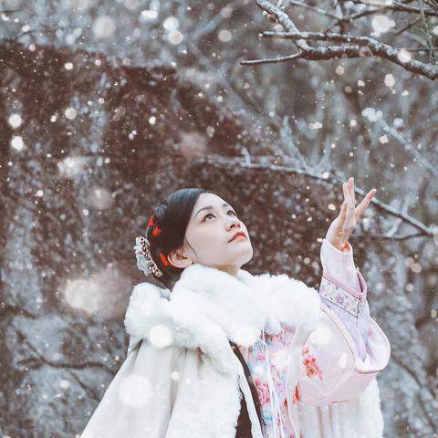 [在路上]《梅花深处是我家》音画作品