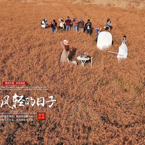 云淡风轻的日子