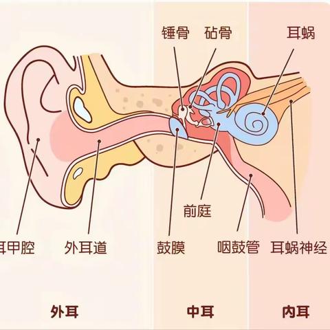 【科学保健】3月3 日全国爱耳日—千秋小镇幼儿园爱耳日活动