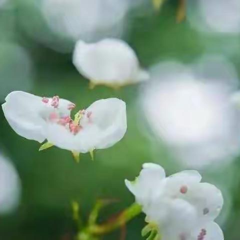 宜城市城关中学清明节手抄报比赛