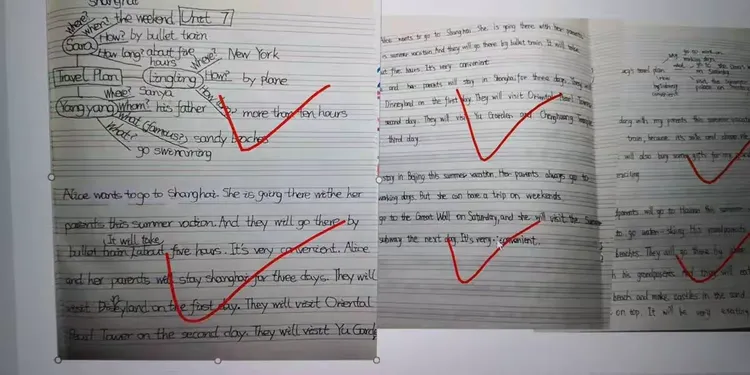 【晓荷】英语作文形成记