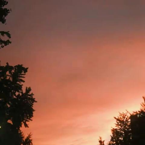 是我喜欢的夏天呀