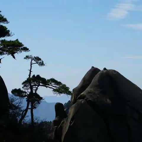 婺源三清山景德镇四日游