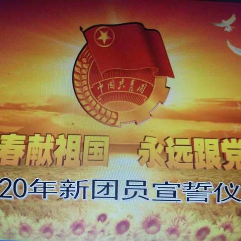 青春献祖国   永远跟党走——大博学校2020年新团员宣誓仪式