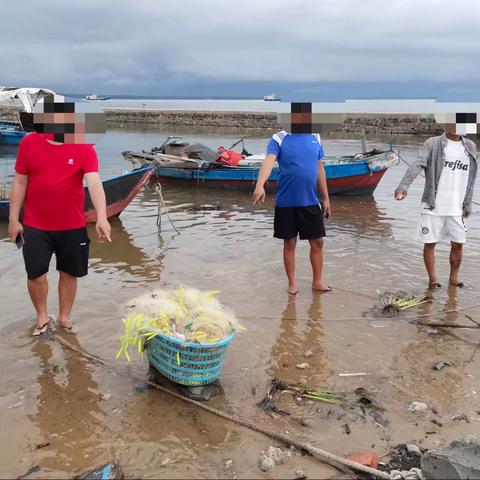 严禁出海，海岸警察就地拆解违规“三无”船舶防外溢