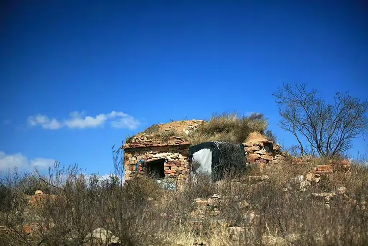 这些天地间自由自在的精灵,已成为当地山上一道独特的风景线,吸引游人