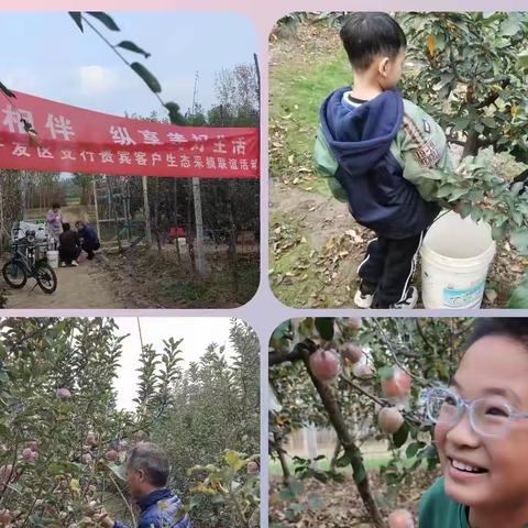 浓情相伴，纵享美好生活