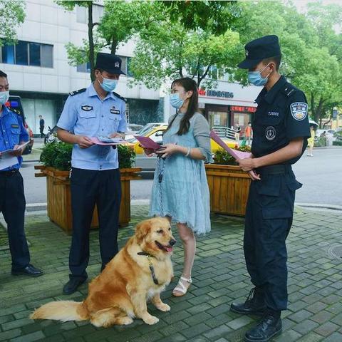 做文明养犬人   让城市更文明