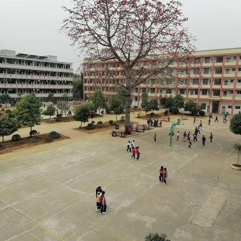 追求卓越，携手同行      ——212班风采回眸