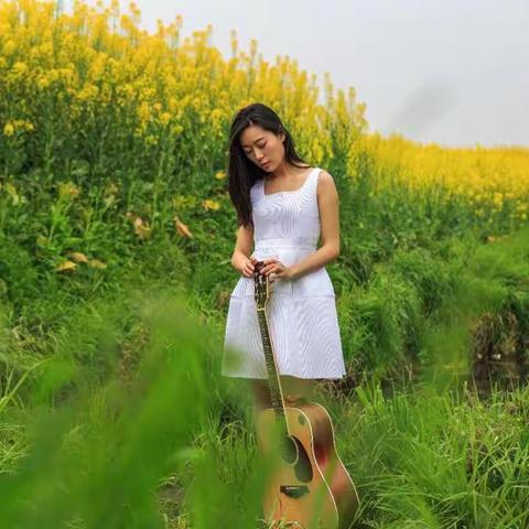 油菜花花开的季节又来了……