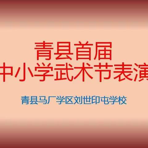 青县马厂首届中小学武术节表演
