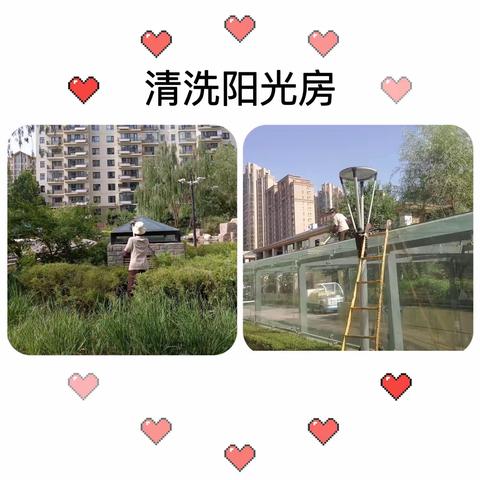 宝湖湾项目6月服务简报