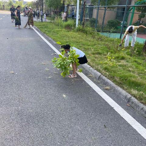 劳动光荣，小区绿化创建志愿者