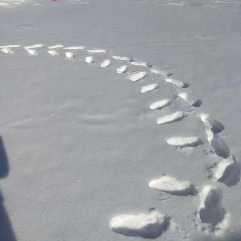 圆梦之旅～雪之约