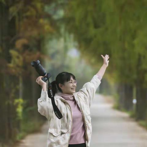 湖埂水杉叶儿红