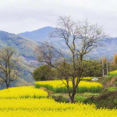 东坪古村的秋天与春天