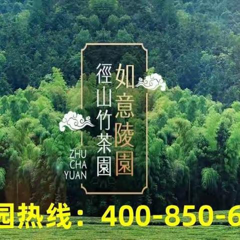 杭州径山竹茶园 墓型及价格查询 墓园热线：400-850-6556