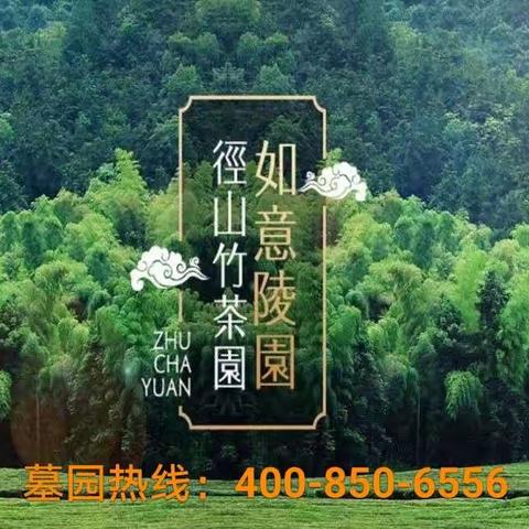 杭州径山竹茶园 价格查询 墓园热线：400-850-6556