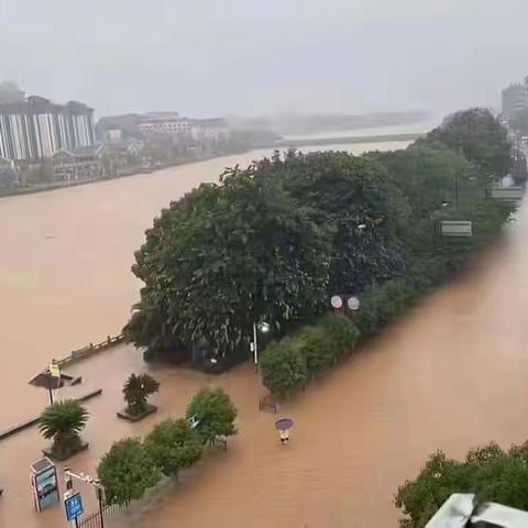 戮力战风雨，同心守家园