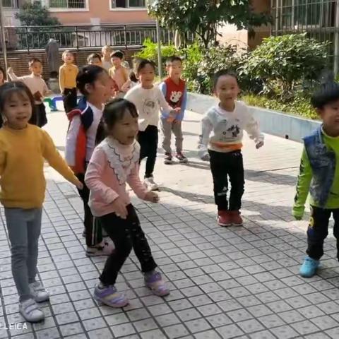 东科幼儿园大一班2020年秋学期总结