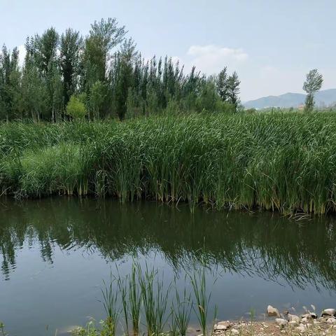 山西省东北隅之行——想不到的青山绿水