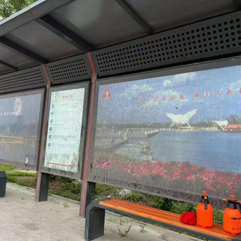 志愿行动·助力创城