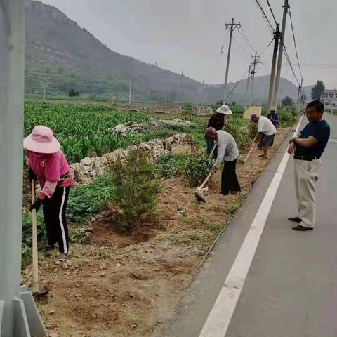 【我为群众办实事】高庄街道：城乡环境综合整治大比武火热进行中