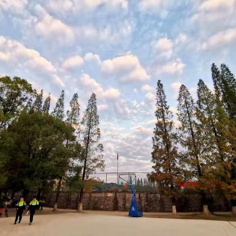 青年教师展风采  教研赛课促提升