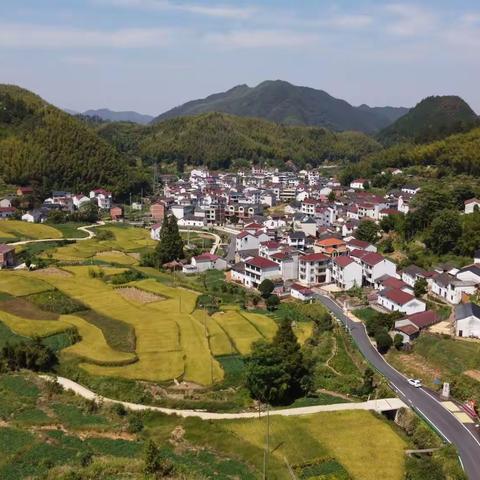 金华市井上村:满目秋色满目歌