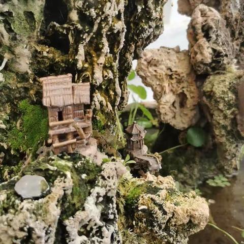 百花齐放、百家争鸣！