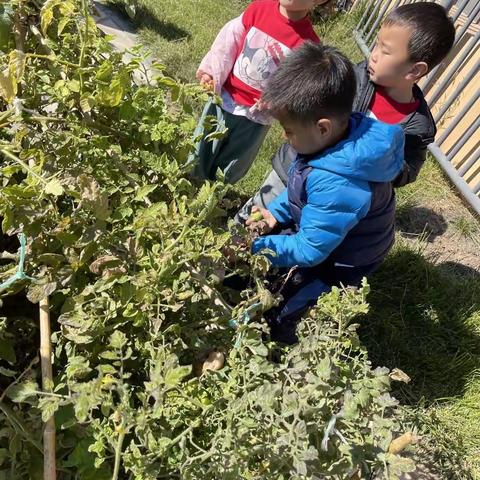 拥抱秋天、收获快乐