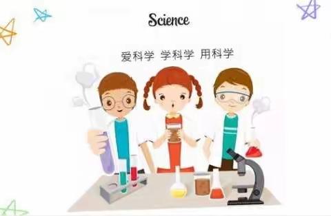 【马蹄莲长风校区】——宅家也能学科学