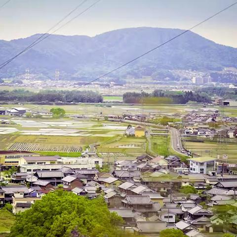 旅日追记三