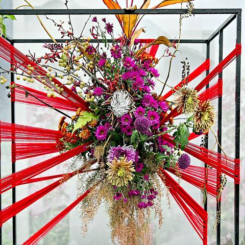 南京湖熟菊花展2—插花