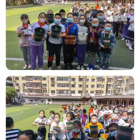 阳明小学四年二班远程种植活动纪实