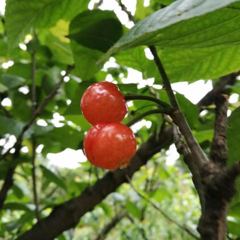 走进春天里……