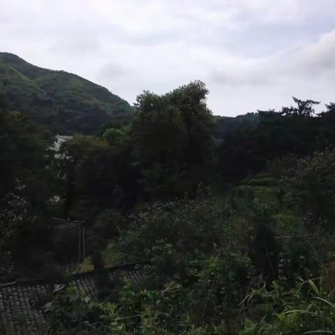 蔡家兄弟姐妹家庭聚会