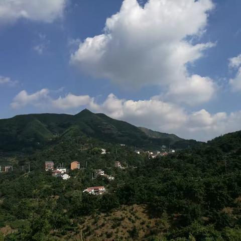 秋的天空里，团团云朵慢慢飘