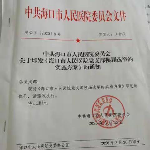 海口市人民医院内科第一党支部召开支部委员会换届选举大会