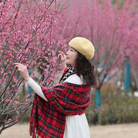 梅花盛开，奔你而来。 摄影:墨父