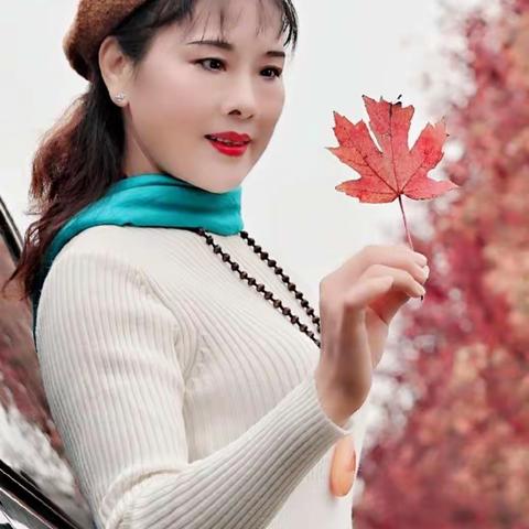 看秋色，观美景，赏红叶。