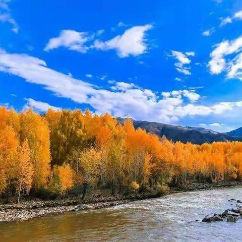 还我，青青之河山